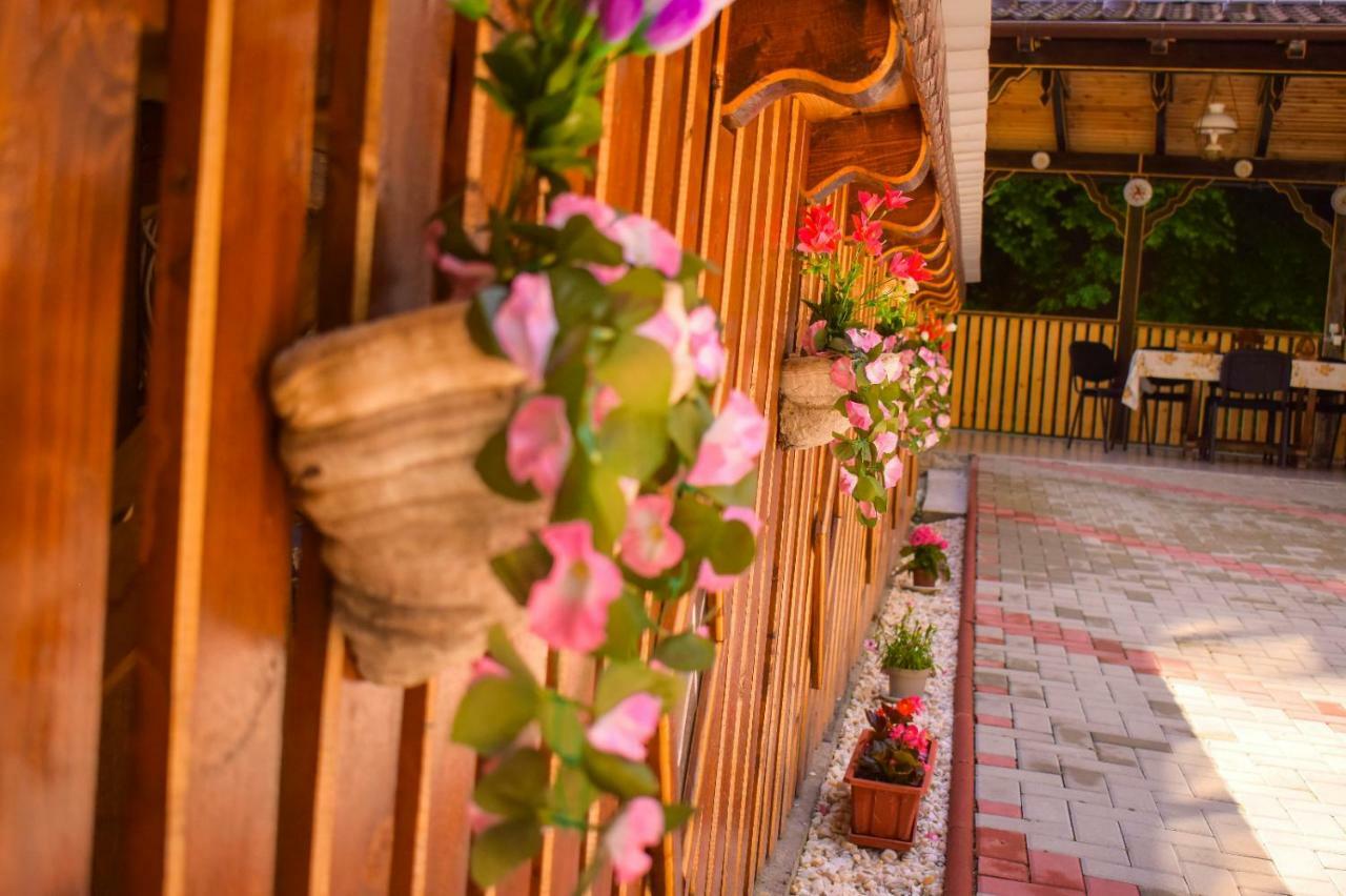 Pensiunea La Cernat Şugag Exterior foto