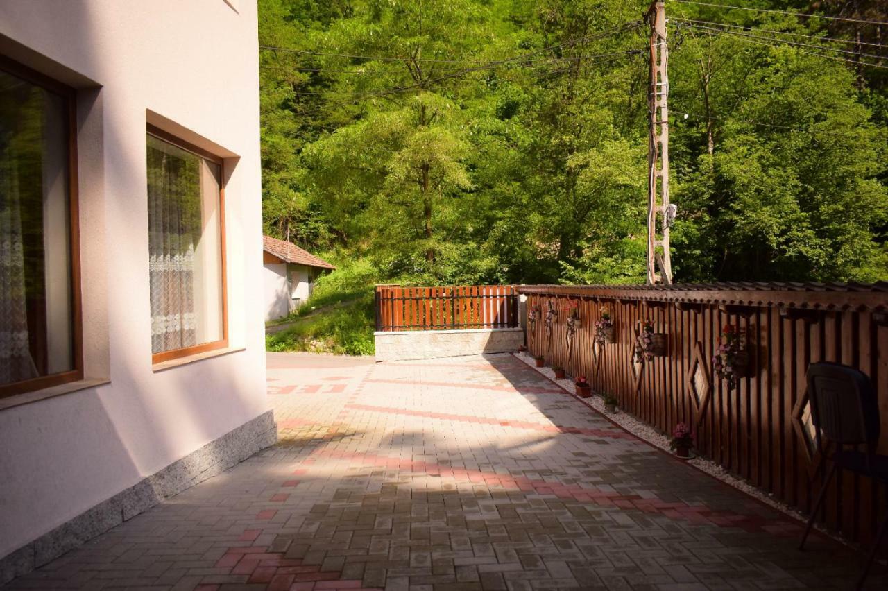 Pensiunea La Cernat Şugag Exterior foto