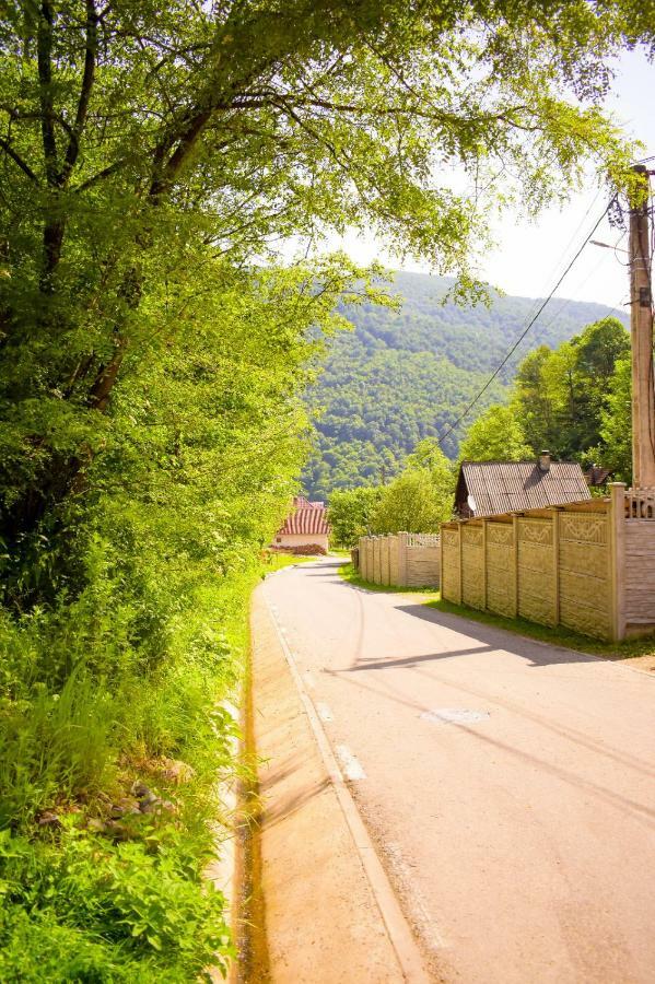 Pensiunea La Cernat Şugag Exterior foto