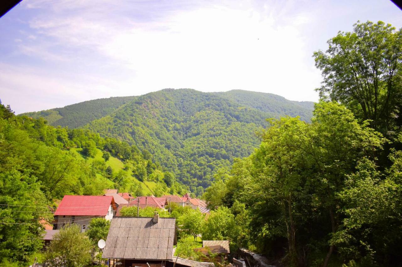 Pensiunea La Cernat Şugag Exterior foto