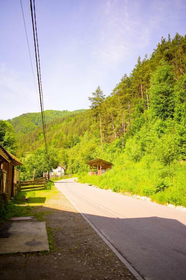 Pensiunea La Cernat Şugag Exterior foto